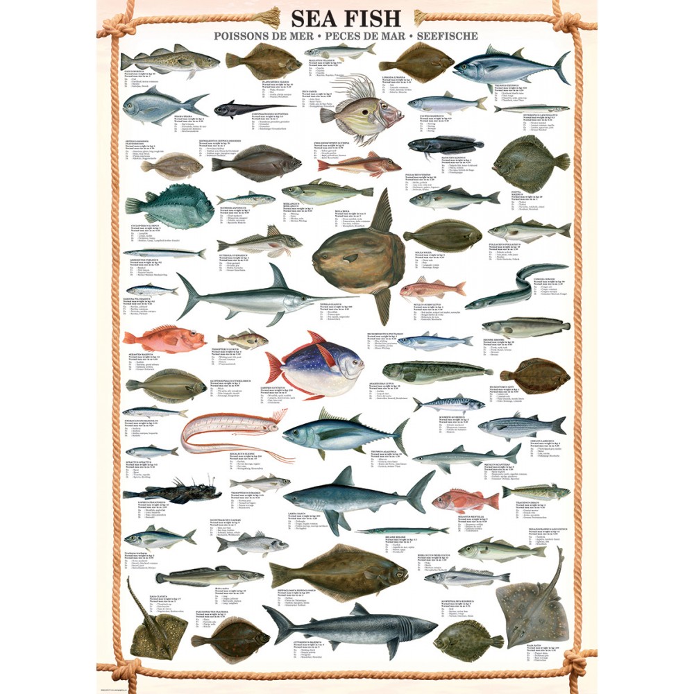 Sea Fish Pussel 1000 bitar